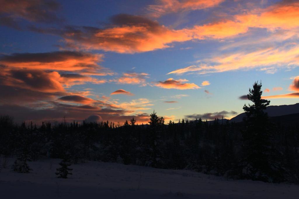 Sundog Retreat Hotell Whitehorse Exteriör bild